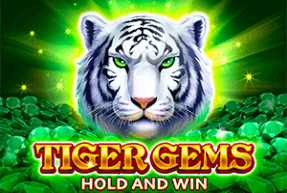 Tiger Gems