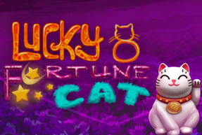 Lucky 8 Fortune Cat