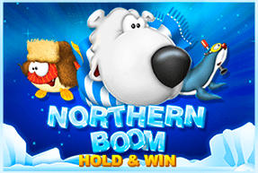 Northern Boom