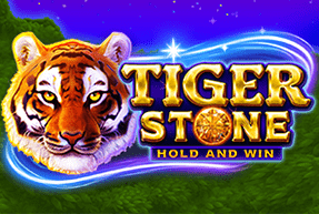 Tiger Stone