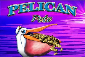 Pelican Pete