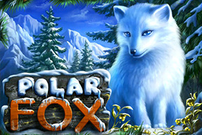 Polar Fox BTD