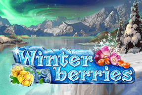 Winterberries Mobile