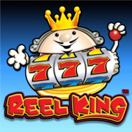 Slot makinesi Reel King