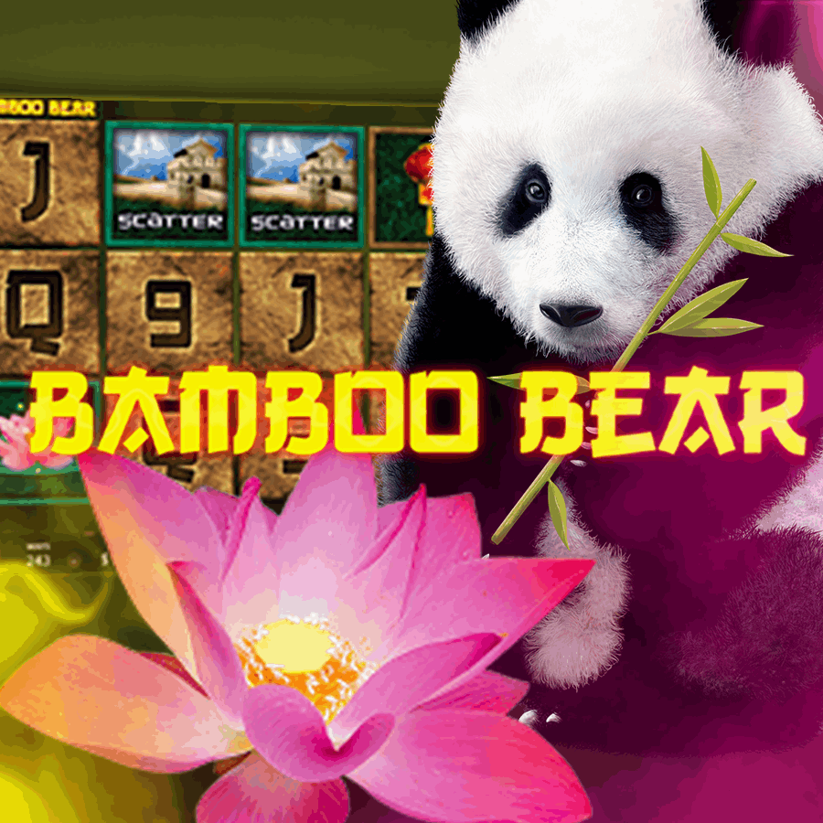 Slot makinesi Bamboo Bear