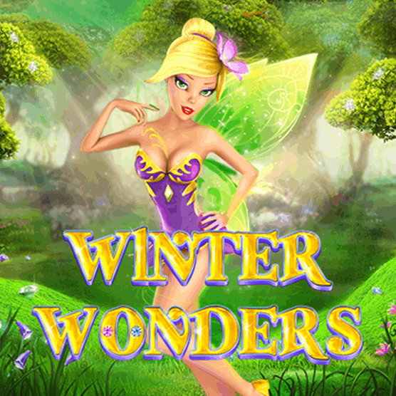 Slot makinesi Winter Wonders