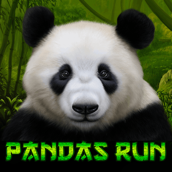 Slot makinesi Panda's Run