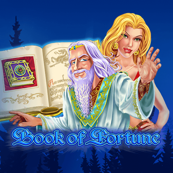 Slot makinesi Book Of Fortune