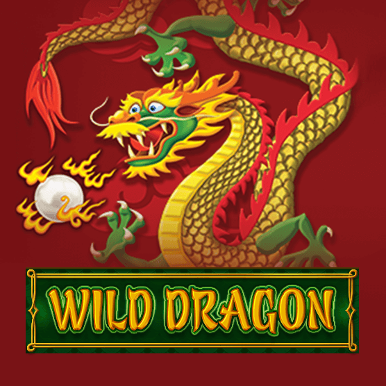 Slot makinesi Wild Dragon