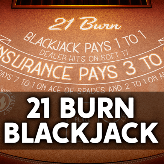 Slot makinesi 21 Burn Black Jack