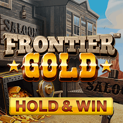 Slot makinesi Frontier Gold