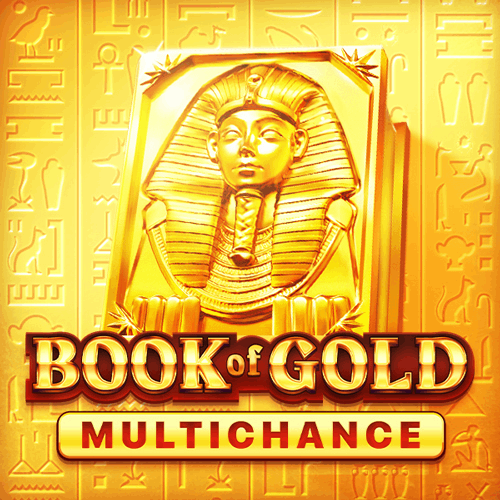 Slot makinesi Book of Gold Multichance