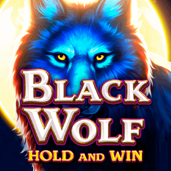 Slot makinesi Black Wolf